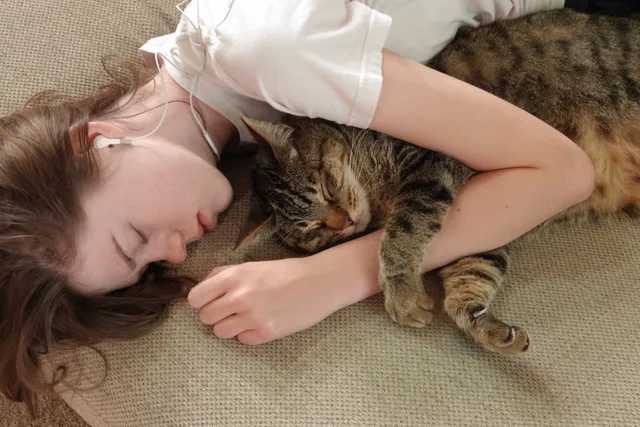 7 Ways to Help a Cat With Stress: A Vet-Verified Guide