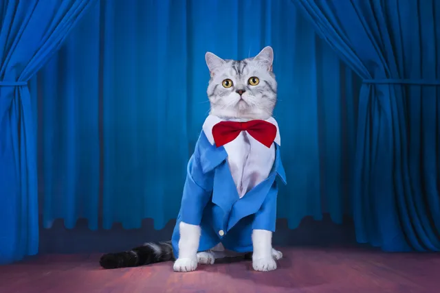Famous Cats: The Most Recognized Felines on Earth (With Info & Pictures)