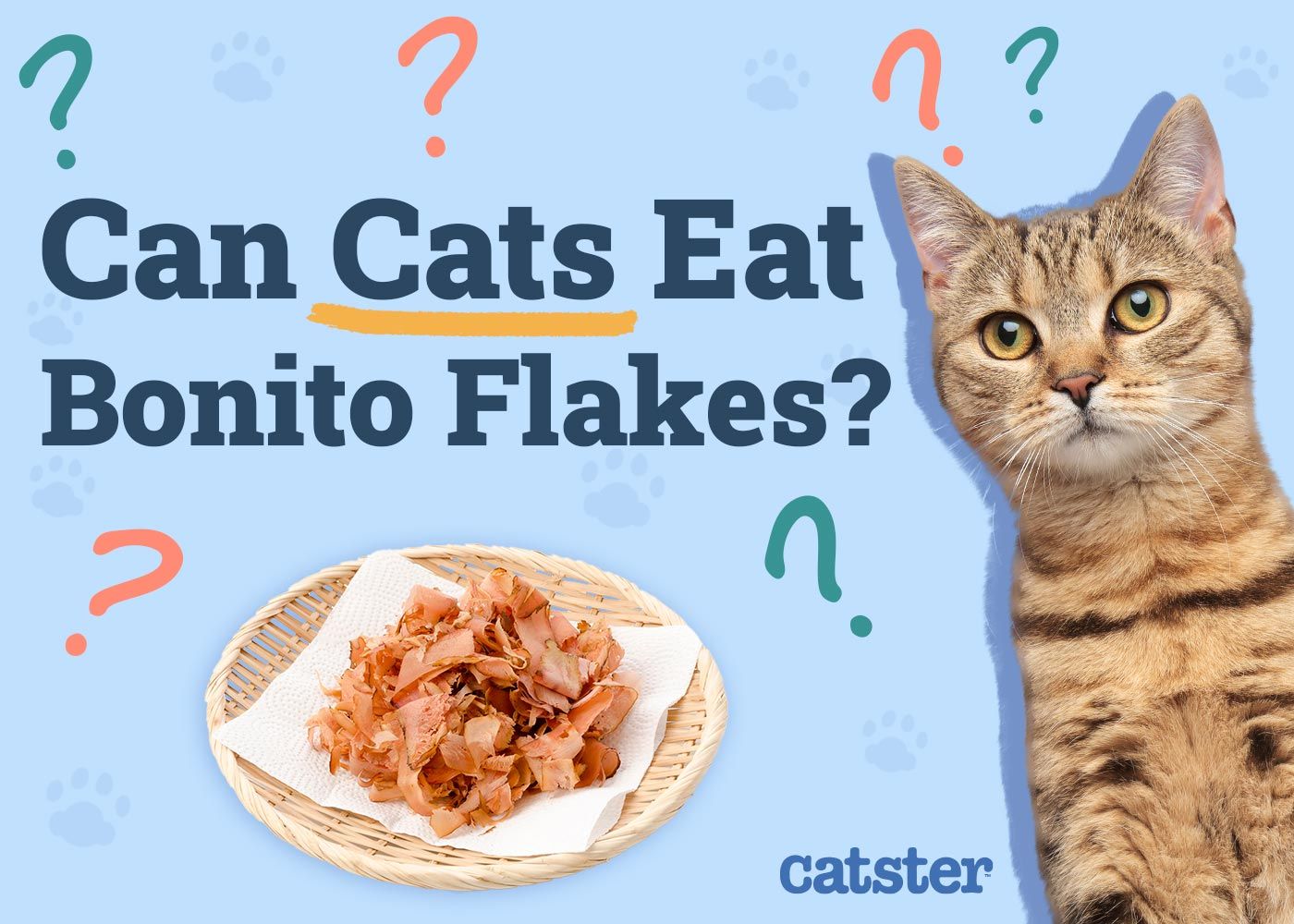 Can Cats Eat Bonito Flakes