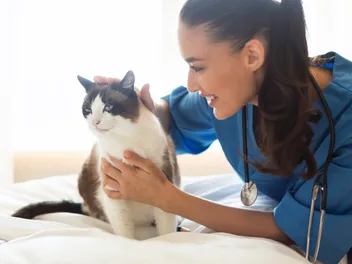 Vet Nurse Day 2026: Everything You Need to Know
