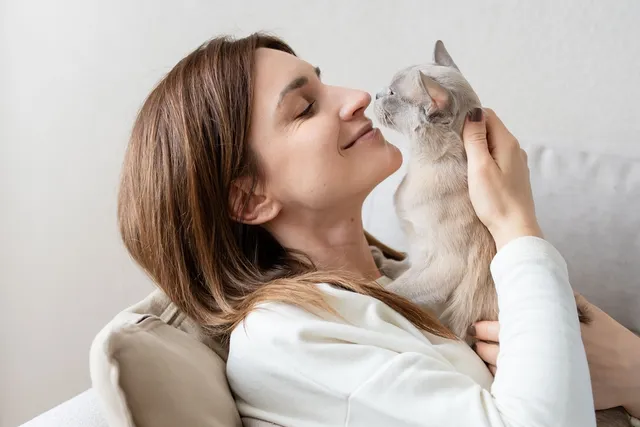 What Is a Cat Kiss? Feline Affection Explained