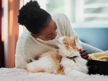 Thinking About Adopting A Cat? Here Are 4 Things To Ask Before Bringing Them Home