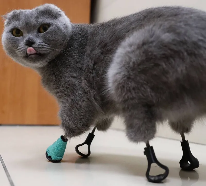 Dymka with her prosthetic legs