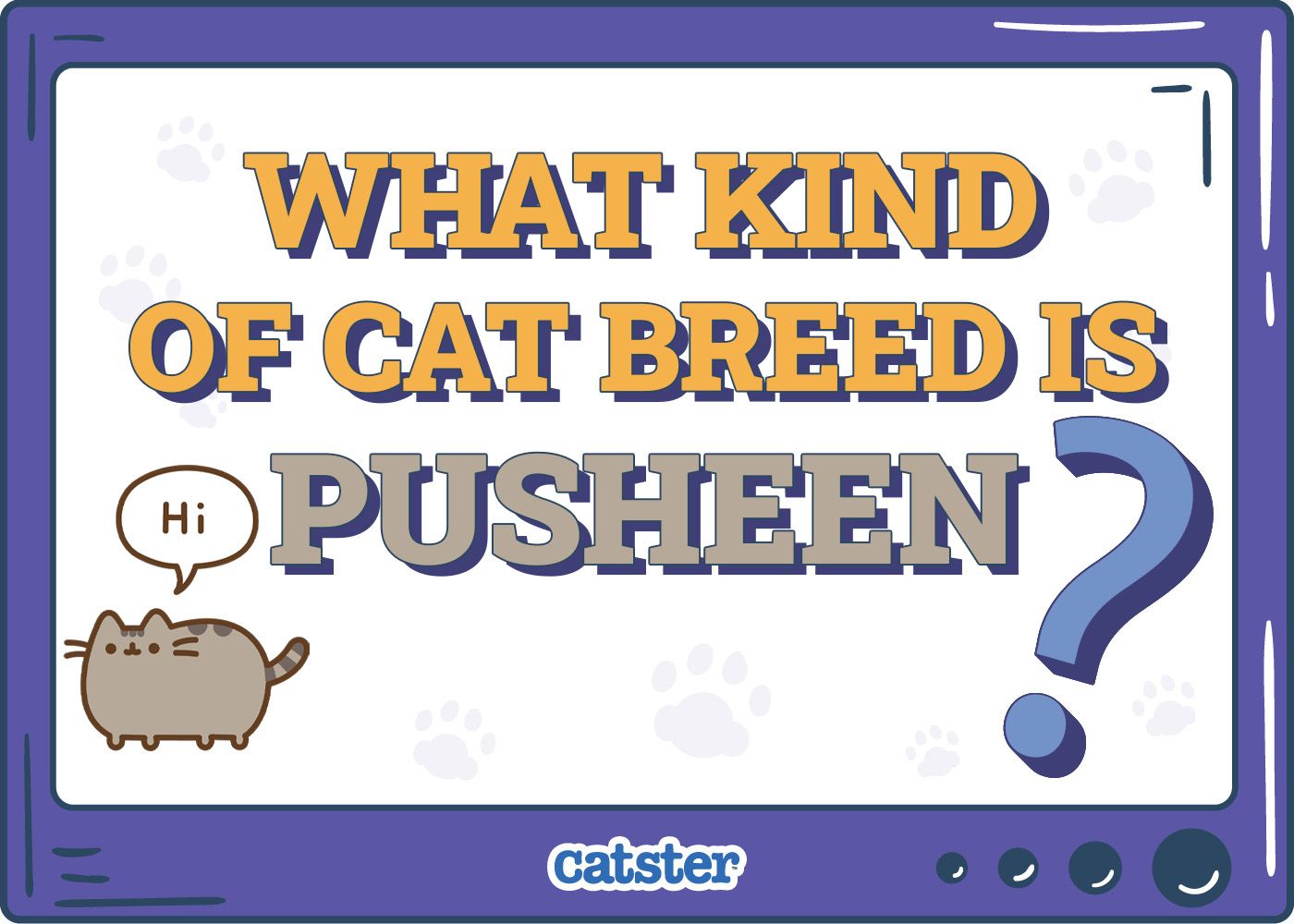 Catster_What Type of Cat is Pusheen