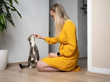 How to Train a Cat to Stay Indoors: 7 Vet-Approved Tips