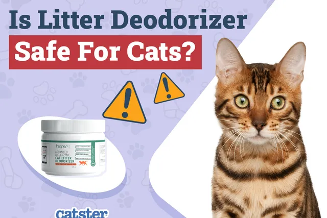 Is Litter Deodorizer Safe for My Cat? Vet-Approved Facts & Sanitation Tips