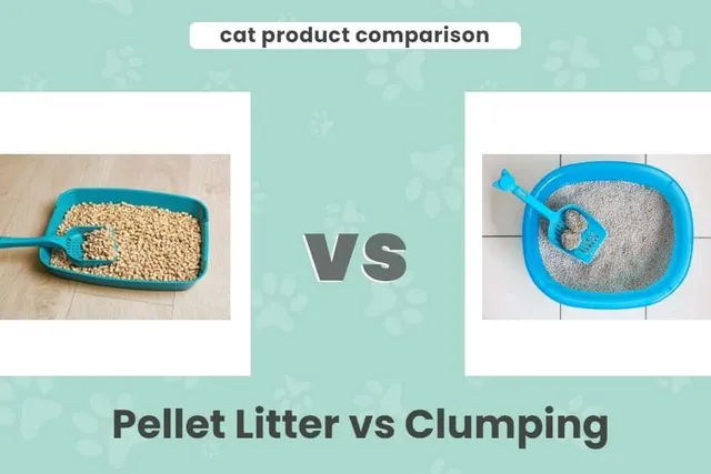 Pellet Litter vs Clumping: Our 2026 Comparison, Pros & Cons