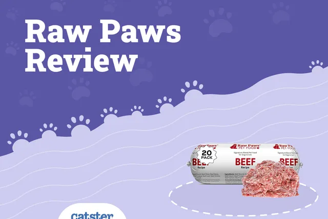 Raw Paws Pet Food Review 2026: Pros, Cons, & Verdict