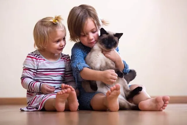 8 Cat Nursery Rhymes (With Videos): Fun Poems for Kids & Their Pets
