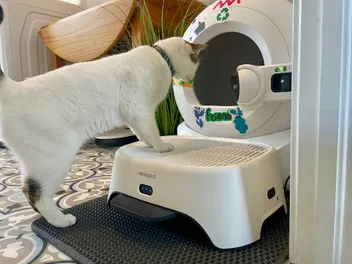Neakasa AirStep Odor-Eliminating Cat Litter Box Step Review 2026: Our Expert’s Opinion