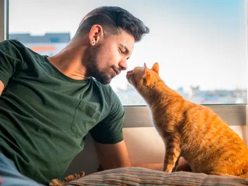Vets Urge Owners: Don’t Ignore Sweet Smell Coming From Cats