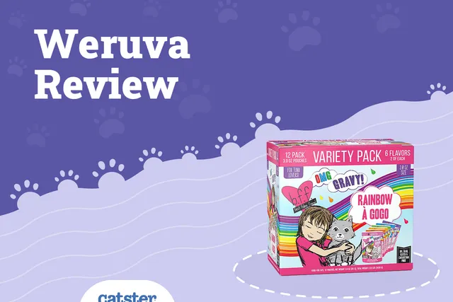 Weruva Cat Food Review 2026: Recalls, Pros & Cons