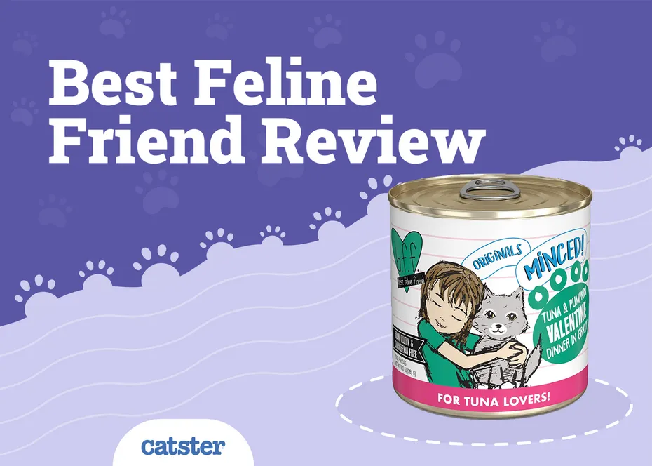 Best Feline Friend Cat Food Review