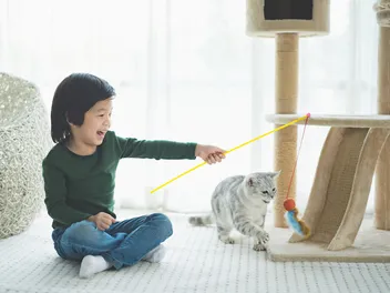 How to Teach Your Kids to Approach Unfamiliar Cats: 8 Vet-Approved Tips