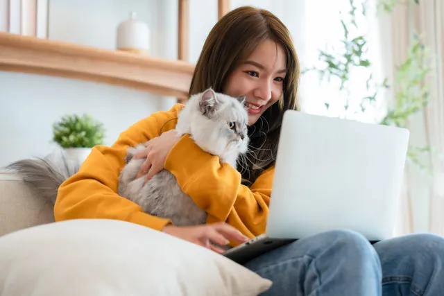 Can AI Tell When a Cat Is Happy? Interpreting Body Language Through Technology