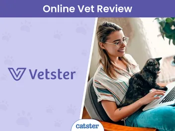 Vetster Online Vet Appointments Review 2026: Our Expert's Opinion