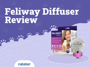 Feliway Cat Diffuser Review in 2026: Recalls, Pros & Cons