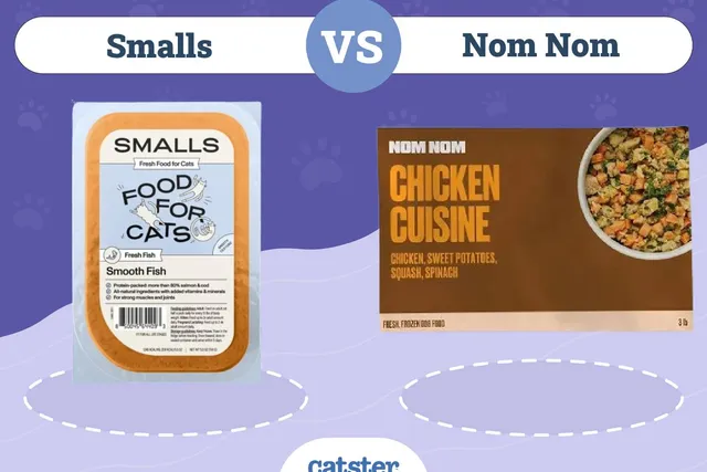 Smalls vs Nom Nom: Pros, Cons & Facts (2026 Update)