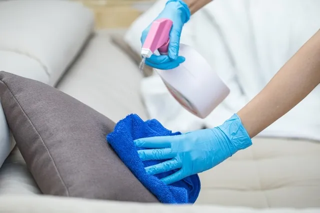 How To Clean Cat Vomit From Your Couch: 3 Quick & Easy Ways