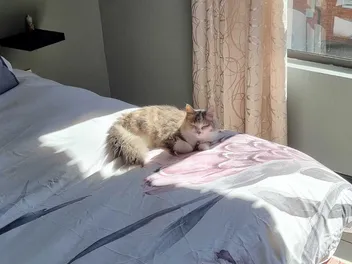 Ivy Settling In: Some of My Favorite Memories