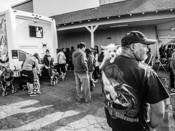 Compassion Without Borders Aims to Bring Basic Vet Care to Low-Income Populations
