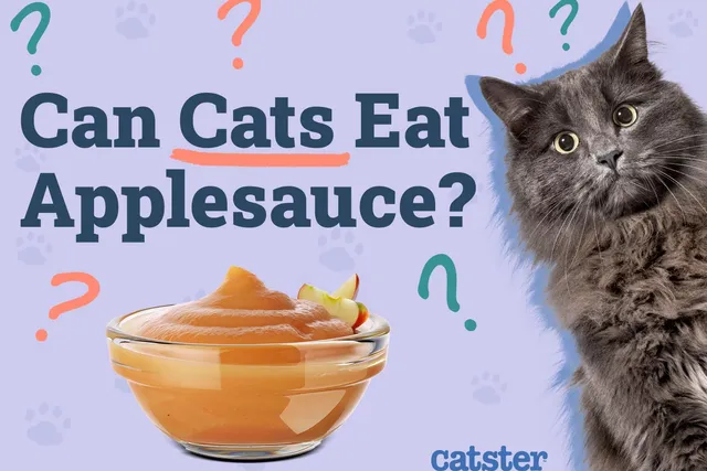 Can Cats Eat Applesauce? Vet-Reviewed Facts & Considerations