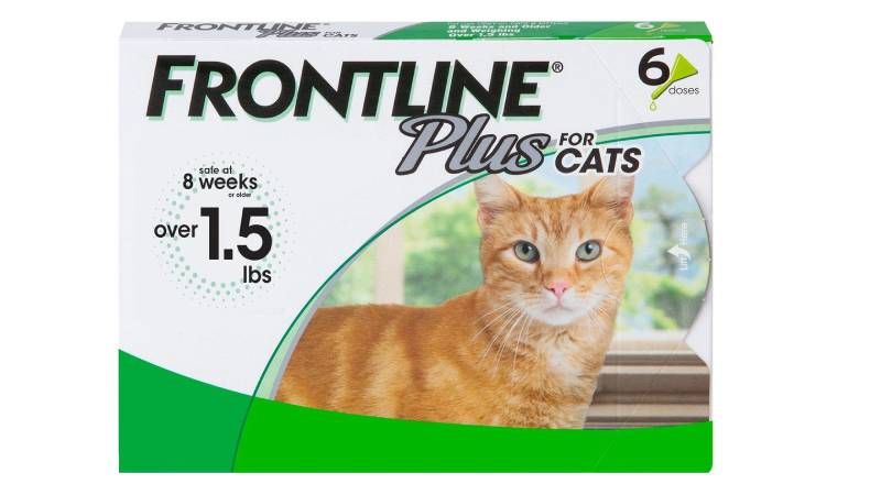 How Does Frontline Work on Cats? Vet Reviewed Facts & FAQ