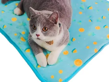 9 Best Cat Cooling Mats and Pads in 2026 - Reviews & Top Picks