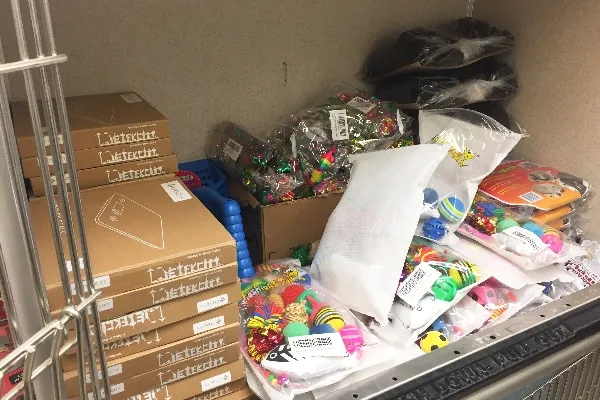 All foster caretakers receive a supply of toys, food, litter and other necessities.