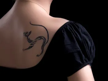 50 Amazing Cat Tattoos (With Pictures)