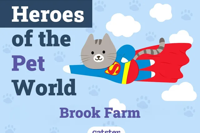 Brook Farm Veterinary Center | Heroes of The Pet World