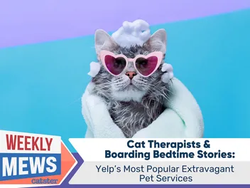 Cat Therapists & Boarding Bedtime Stories: Yelp's Most Popular Extravagant Pet Services
