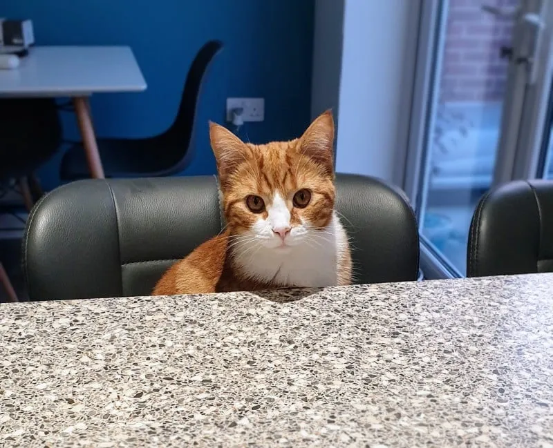 Alex doesn't need to hunt for his food.