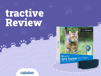 Tractive GPS Tracker for Cats Review in 2026: Our Expert’s Opinion