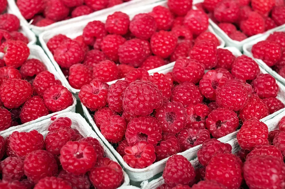 raspberries in cartons