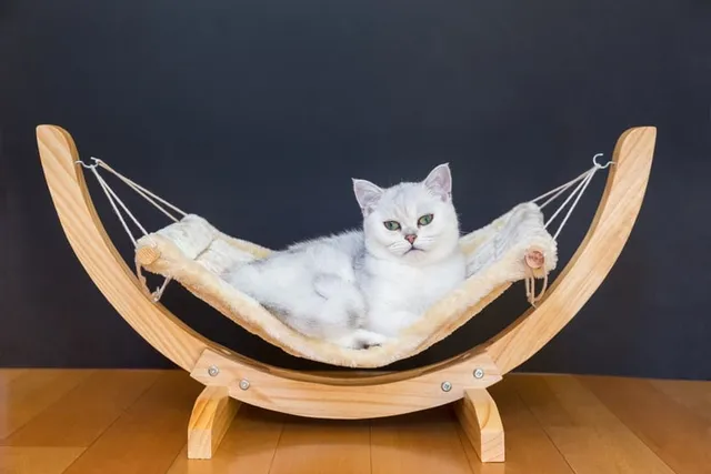 4 Free DIY Cat Hammocks You Can Build Today (With Pictures)