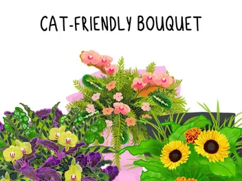 5 Vet-Verified Cat-Safe Bouquets: Cat-Friendly Flower Arrangements (With Images)