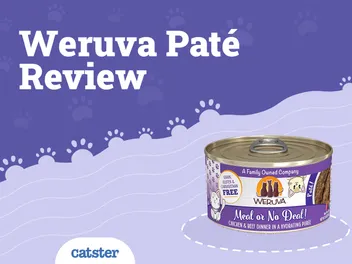 Weruva Patés Cat Food Review (2026 Update)