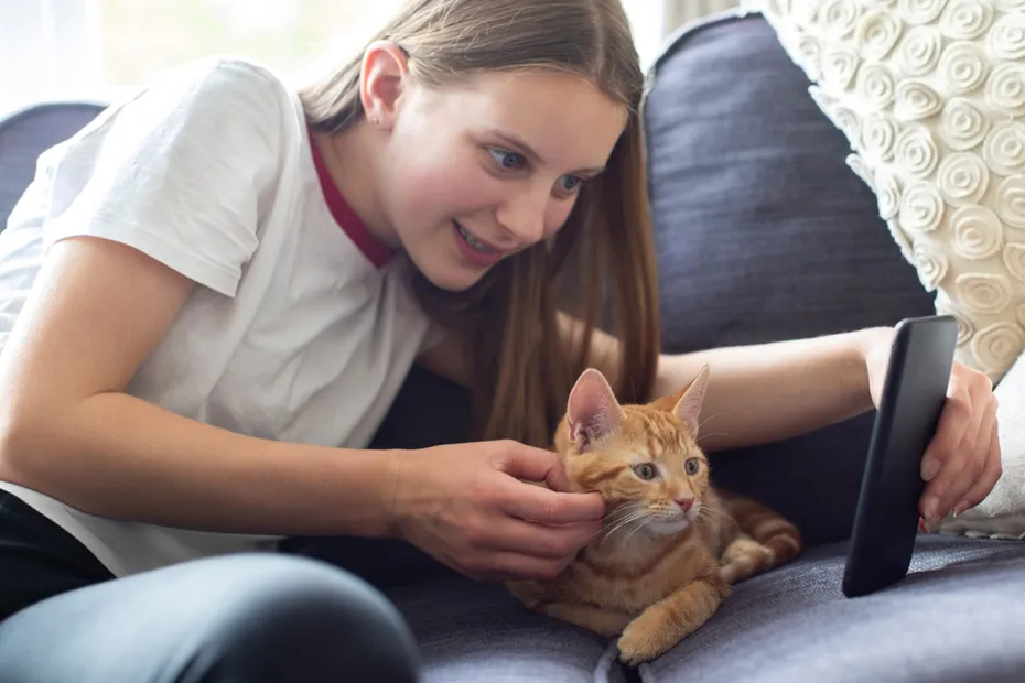 girl looking at the phone with her cat
