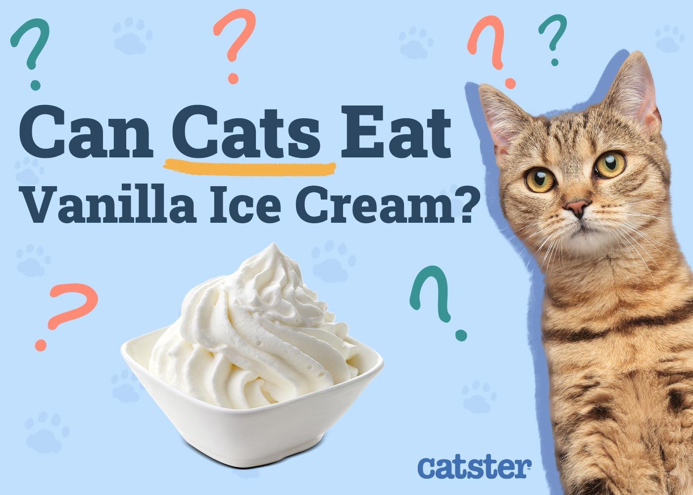 Can Cats Eat Vanilla Ice Cream