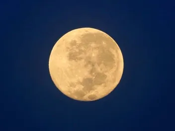 Does the Full Moon Affect Cats? What Science Says