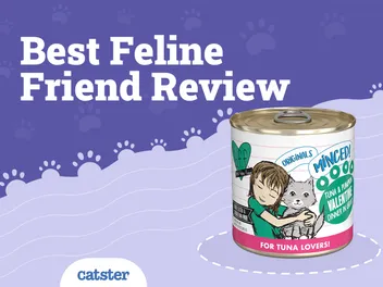 BFF (Best Feline Friend) Cat Food Review in 2026: Recalls, Pros & Cons