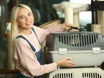 Are Cat's Carrier Crash Tested? Vet-Reviewed Facts & FAQ
