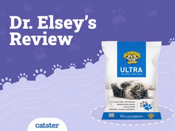 Dr. Elsey’s Cat Litter Review of 2026: Recalls, Pros & Cons