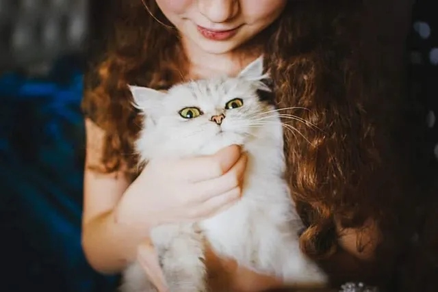 Responsible Pet Owners Month: 2026 Update & How to Celebrate It
