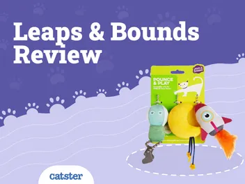 Leaps and Bounds Cat Toys Review 2026: Pros, Cons & Final Verdict