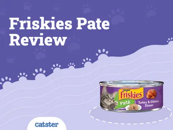Friskies Cat Food Review of 2026: Recalls, Pros & Cons