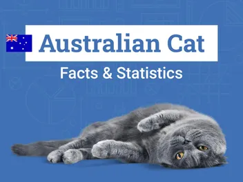 17 Australian Cat Statistics & Facts All Cat Lovers Should Know (2026 Update)