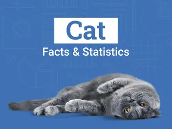 15 Cat Statistics & Facts All Cat Lovers Should Know (Vet-Verified 2026 Update)