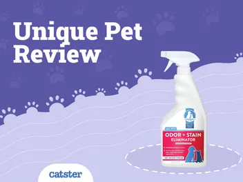 Unique Carpet Shampoo Review 2026 - Pros, Cons, & Verdict